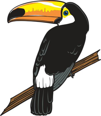 Toucan1NC2clr