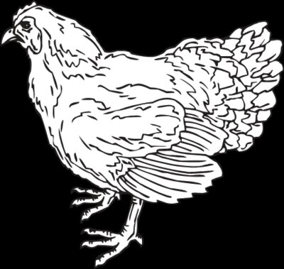 HEN