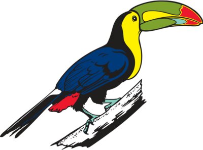 Toucan2NC2clr