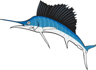 sailfish01NC2clr